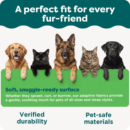 Orthopedic Dog Bed for Large Dogs W/ Removable Bolsters & Washable Cover, for Dogs up to 95 Lbs - Plush & Velvet Waves Perfect Comfort Sofa - Granite Gray, Jumbo/Xl