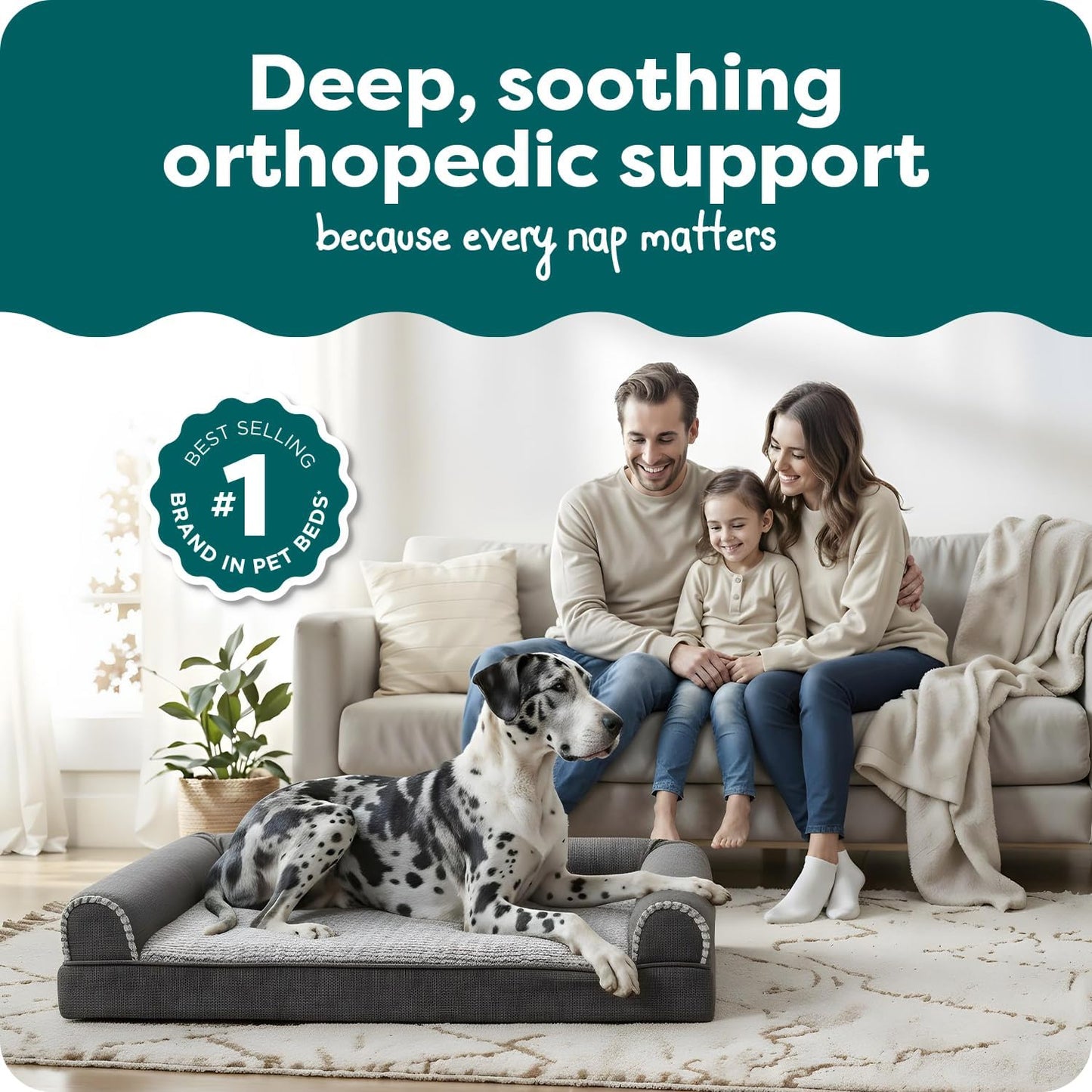 Orthopedic Dog Bed for Large Dogs, Sofa Contour Mattress with Solid Orthopedic Foam Slab for Joint Support, Removable Washable Cover, Jumbo plus XXL, Faux Fur, Charcoal